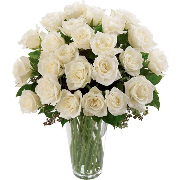 Soneto 36 Rosas Brancas no Vaso
