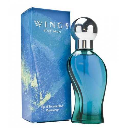 Wings De Giorgio Beverly Hills Eau De Toilette Masculino 100 ml