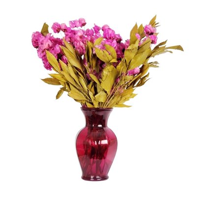Arranjo Desidratado Flora Vibrante + Vaso Rosa