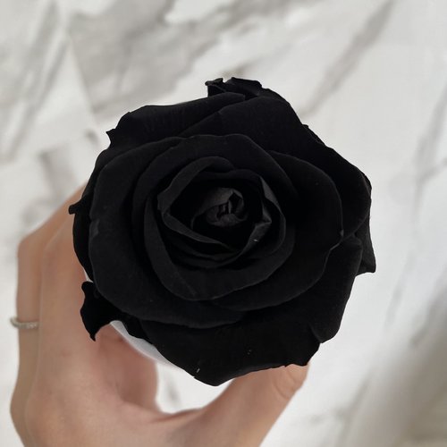 THE ONE- Rosa Preta/ Caixa Los Angeles Black | Giuliana Flores