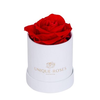 THE ONE- Rosa Vermelha / Caixa Bright White