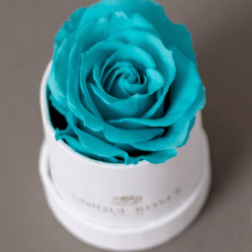THE ONE- Rosa Tiffany/ Caixa Bright White
