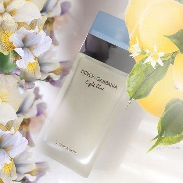 Perfume feminino Dolce & Gabbana Light Blue EDT 100 ml