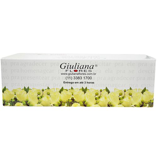 Caixa de Viagem - Vaso GF