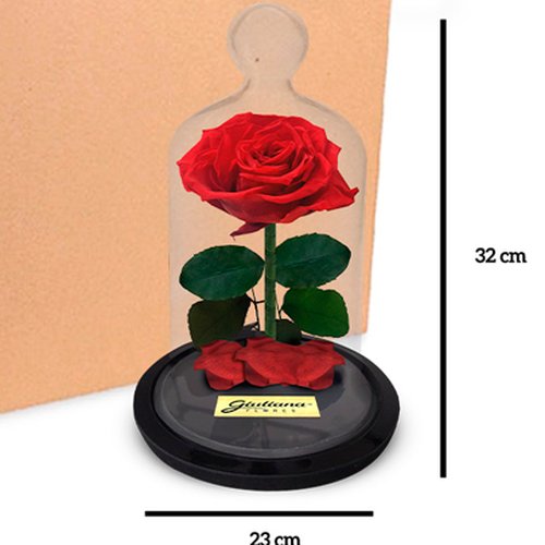 Caixa com 6 unidades A Rosa Encantada (A32x L23 x P23)cm