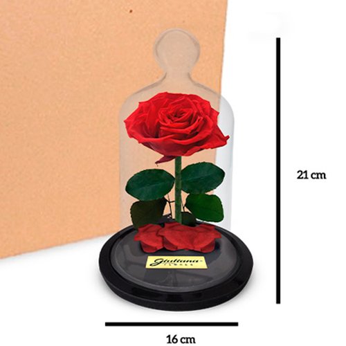 Caixa com 12 unidades Mini Rosa Encantada (A21x L16 x P16)cm