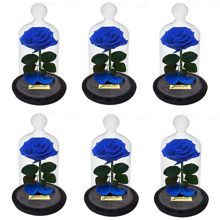 Caixa com  6 unidades  A Rosa Encantadas Azul (A32x L14 x P18)cm