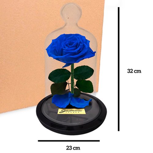 Caixa com  6 unidades  A Rosa Encantadas Azul (A32x L14 x P18)cm
