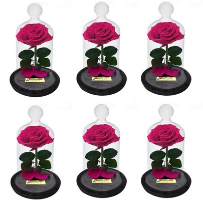 Caixa com  6 unidades  A Rosa Encantadas Pink (A32x L14 x P18)cm