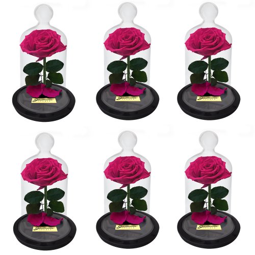 Caixa com 6 unidades A Rosa Encantadas Pink (A32x L23 x P23)cm