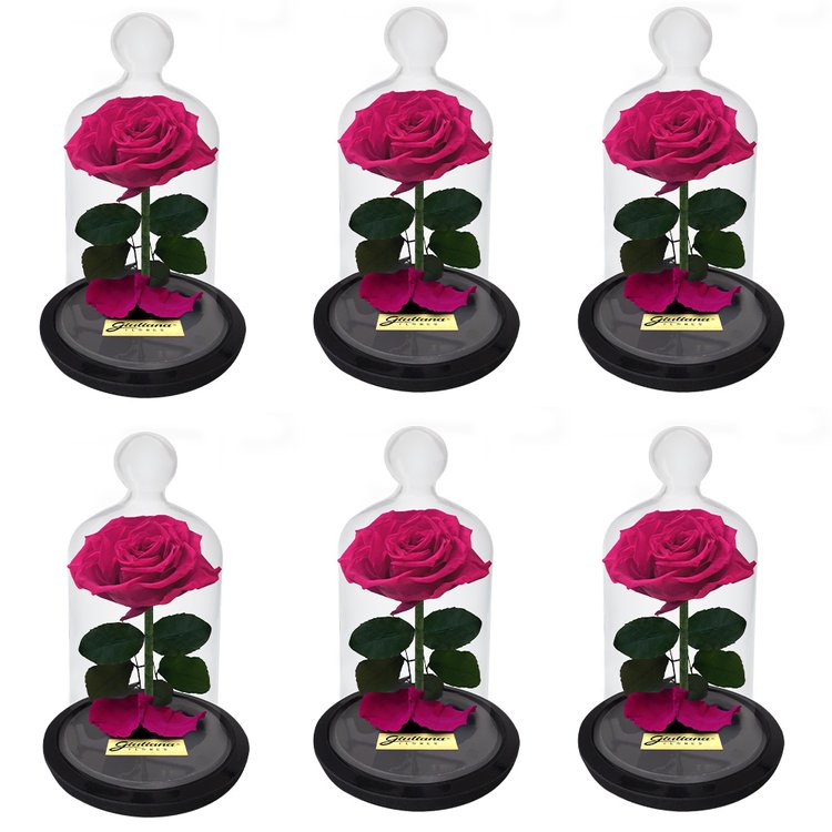 Caixa com  6 unidades  A Rosa Encantadas Pink (A32x L14 x P18)cm