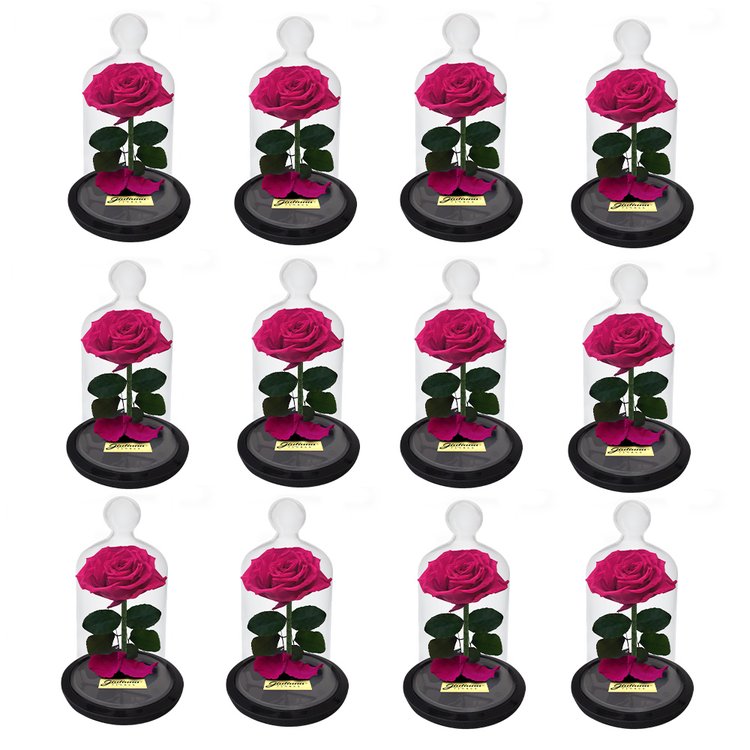 Caixa com 12 unidades Mini Rosa Encantadas Pink(A21x L16 x P16)cm