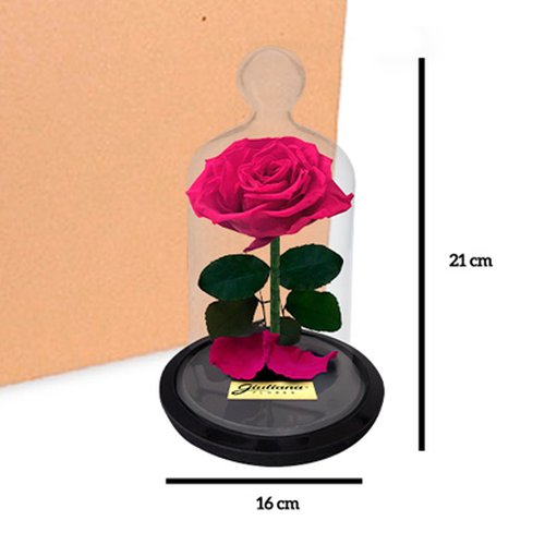 Caixa com 12 unidades Mini Rosa Encantadas Pink(A21x L16 x P16)cm