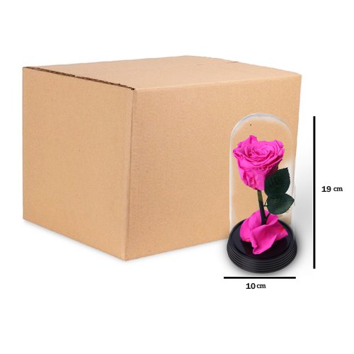 Caixa com  6  A Bela Rosa Encantada Pink (A19x L10 x P10)cm