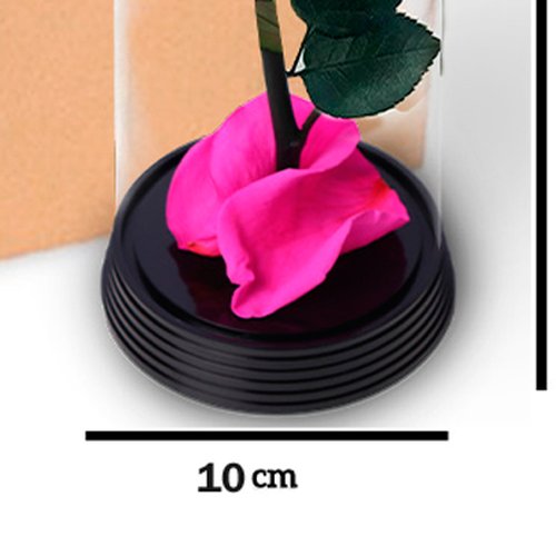 Caixa com  6  A Bela Rosa Encantada Pink (A19x L10 x P10)cm