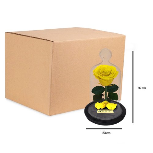 Caixa com 6 unidades A Rosa Encantada Amarela (A32x L23 x P23)cm