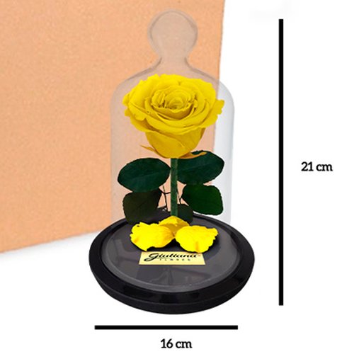 Caixa com 12 unidades Mini Rosa Encantada Amarelas(A21x L16 x P16)cm
