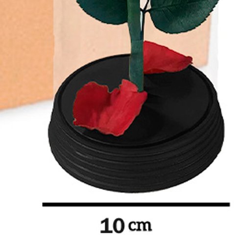 Caixa com 6 A Bela Rosa Encantada Vermelha (A19x L10 x P10)cm