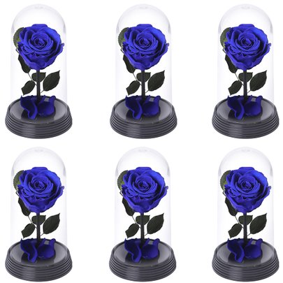 Caixa com 6 A Bela Rosa Encantada Azul (A19x L10 x P10)cm