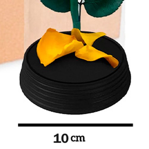 Caixa com 6 A Bela Rosa Encantada Amarela (A19x L10 x P10)cm