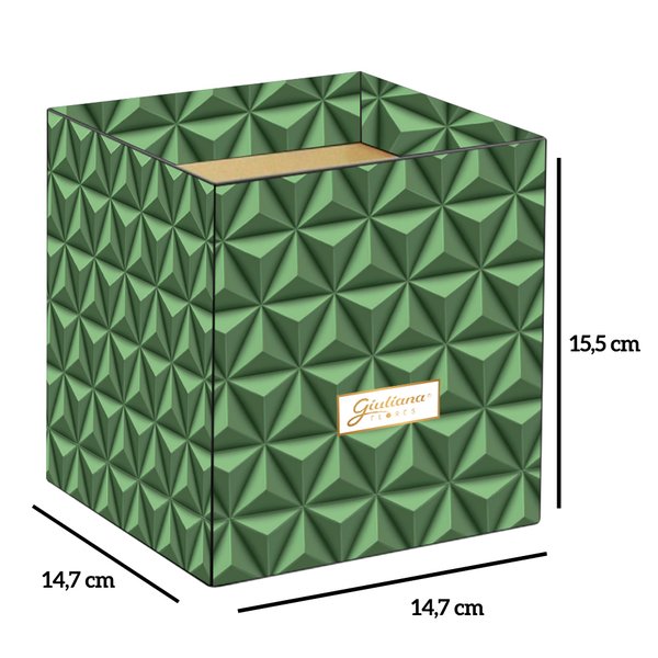 Caixa com 30 unidades cachepot grafismo verde (A155x L147x P147)cm