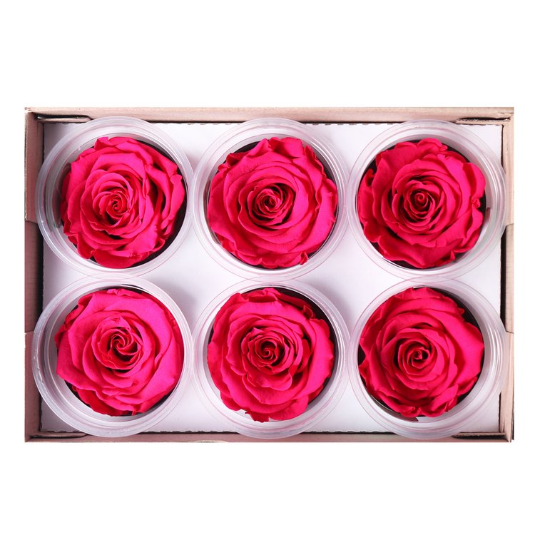 Caixa com  6 Botões de Rosa Encantada Pink (A8X L22,5 X P15,5)CM