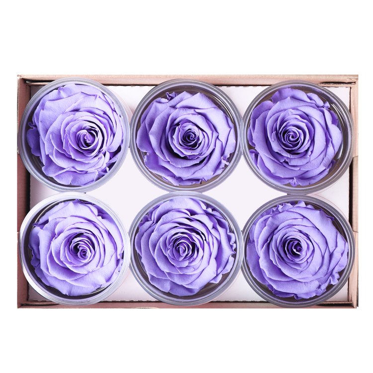 Caixa com  6 Botões de Rosa Encantada Lilás (A8X L22,5 X P15,5)CM