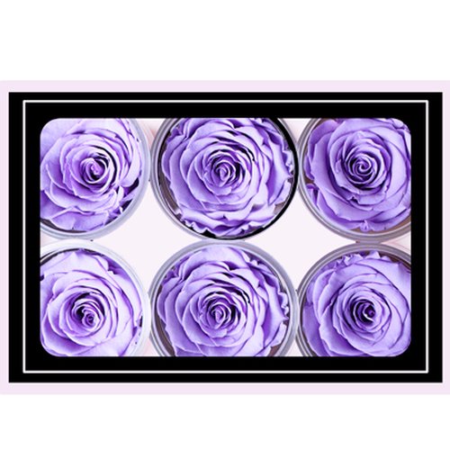 Caixa com  6 Botões de Rosa Encantada Lilás (A8X L22,5 X P15,5)CM