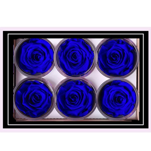 Caixa com  6 Botões de Rosa Encantada Azul (A8X L22,5 X P15,5)cm