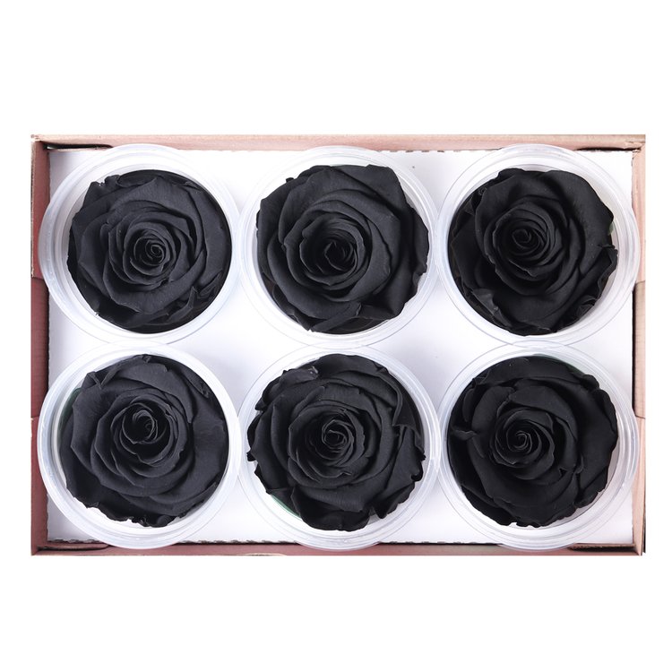 Caixa com  6 Botões de Rosa Encantada Preta (A8X L22,5 X P15,5)CM
