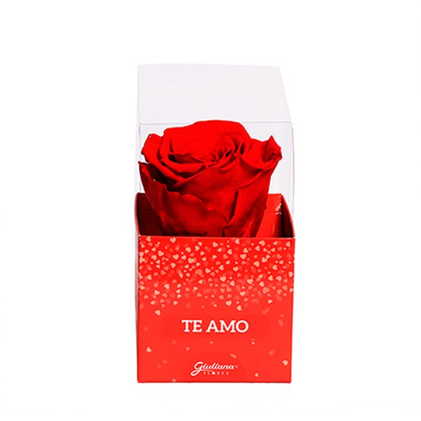 Rosa Encantada Vermelha na Caixa Te Amo VM