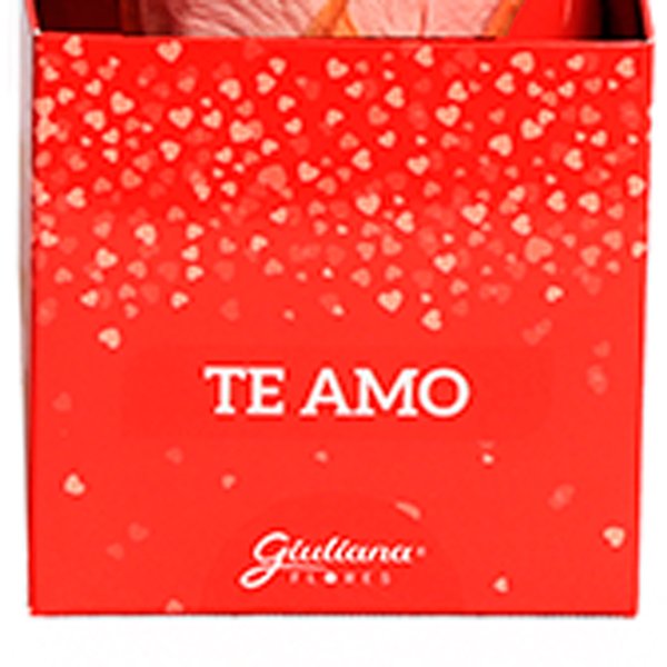 Rosa Encantada Cor de Rosa na Caixa Te Amo VM