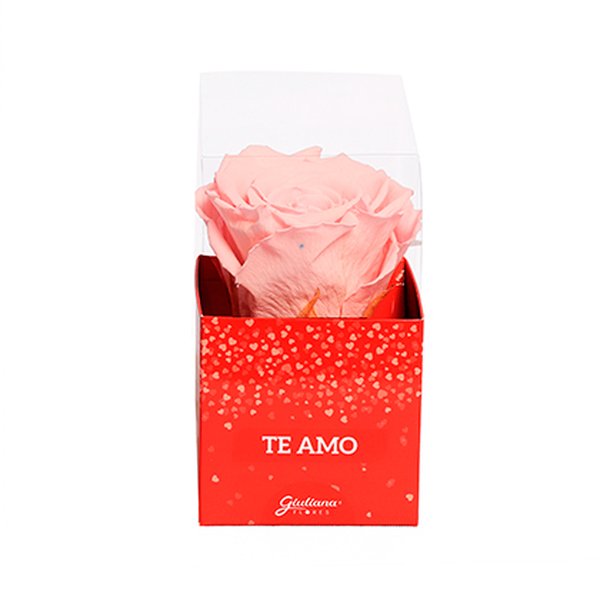 Rosa Encantada Cor de Rosa na Caixa Te Amo VM