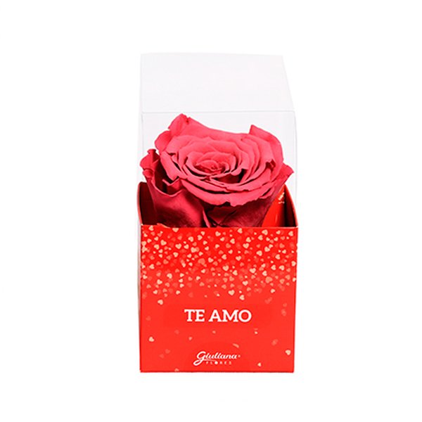 Rosa Encantada VIoleta na Caixa Te Amo VM
