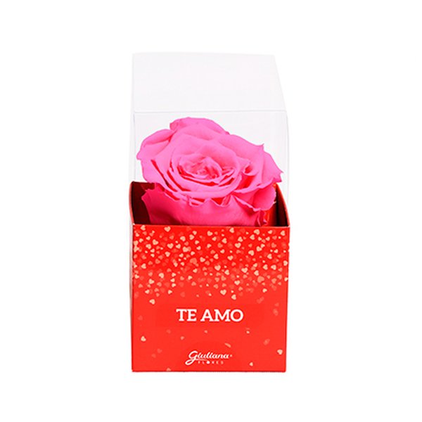 Rosa Encantada Pink na Caixa Te Amo VM