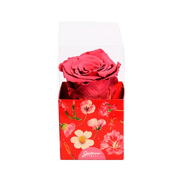 Rosa Encantada Violeta na Caixa Floral VM
