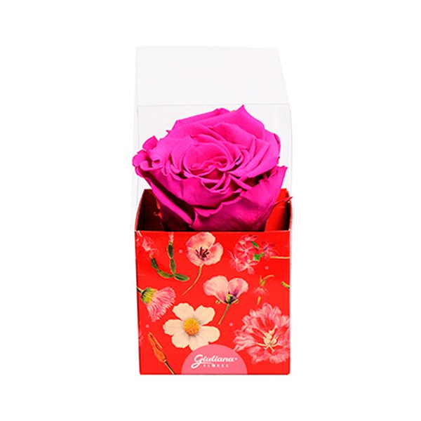 Rosa Encantada Roxa na Caixa Floral VM