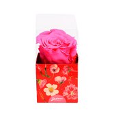 Rosa Encantada Pink na Caixa Floral VM
