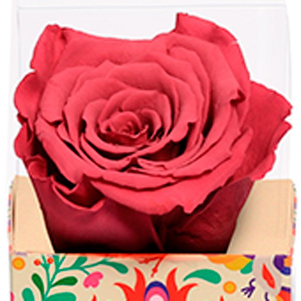Rosa Encantada Violeta na Caixa Floral VM