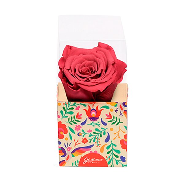 Rosa Encantada Violeta na Caixa Floral VM