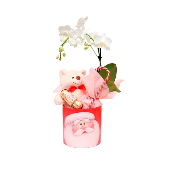 Cesta de Natal Orquídea e Ursinho