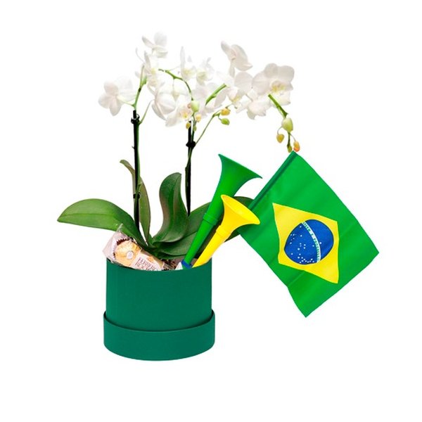 Cesta Orquídea Torcedor Brasil na Copa
