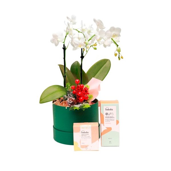 Cesta de Natal Orquídea com Natura