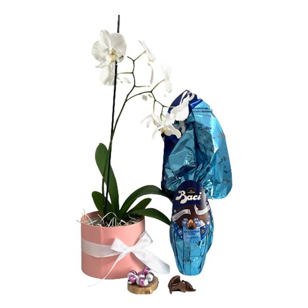 Ovo de Páscoa e Orquídea