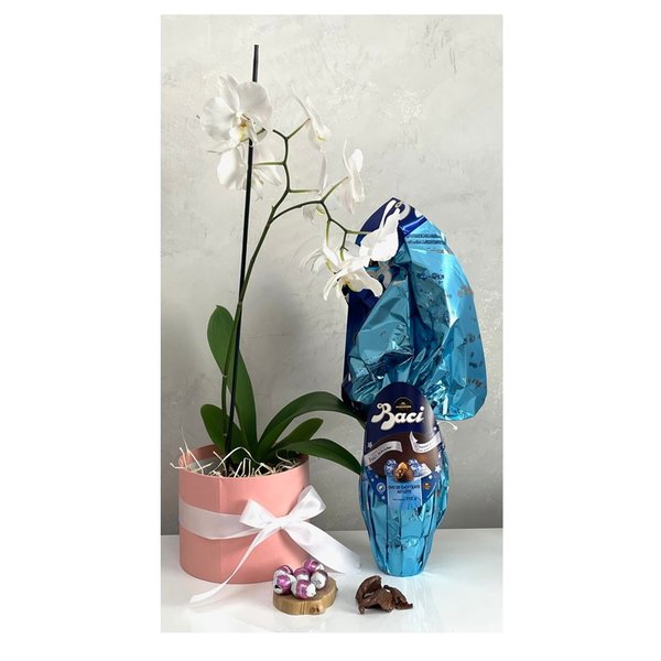 Ovo de Páscoa e Orquídea