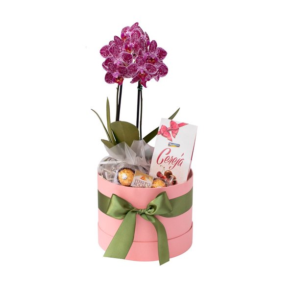 Cesta Mãe Especial