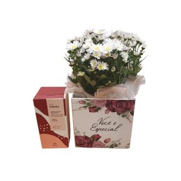 Imagem de Margarida Especial 