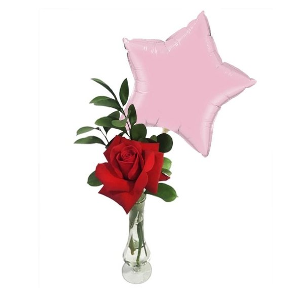 Rosa Aniversário
