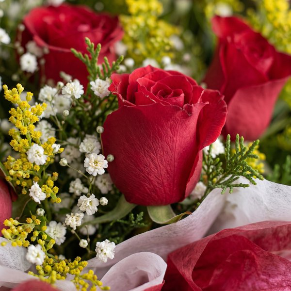 Arranjo com 12 rosas vermelhas