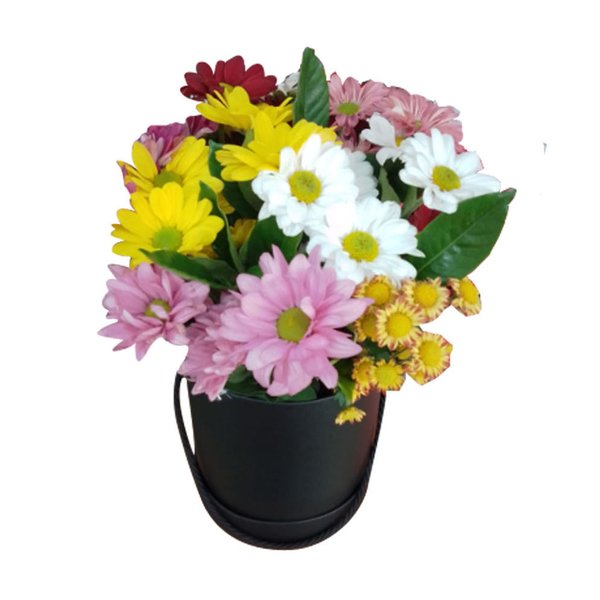 Box de Flor do Campo